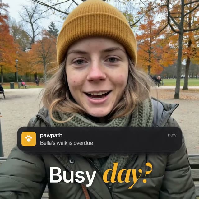 Pawpath: KI-Talking-Head-Video für einen täglichen Hunde-Gassi-Service, Sprecher mit Untertiteln und Motion-Design-Einblendungen im Format 1:1